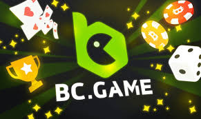 Resolving Login Issues on BC.Game USA
